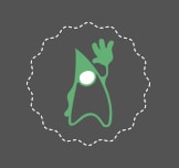 startpage-java-back-basics-icon